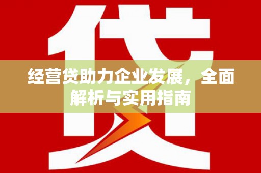 山阳经营贷助力企业发展，全面解析与实用指南