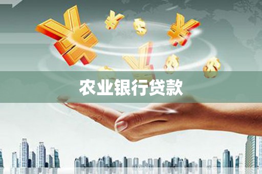 山阳农业银行贷款