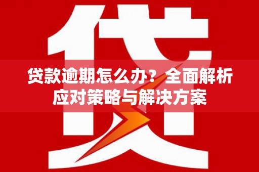 山阳贷款逾期怎么办？全面解析应对策略与解决方案