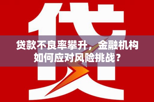 山阳贷款不良率攀升，金融机构如何应对风险挑战？