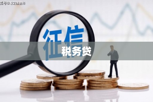 山阳税务贷