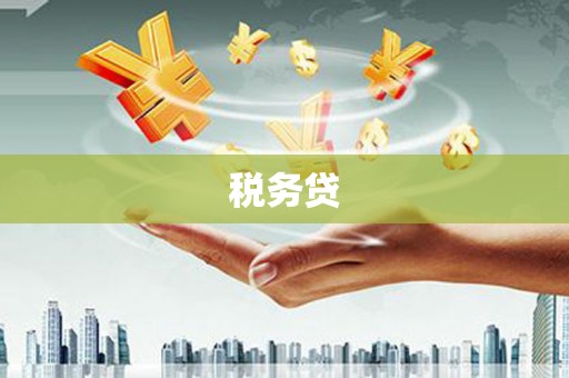 山阳税务贷
