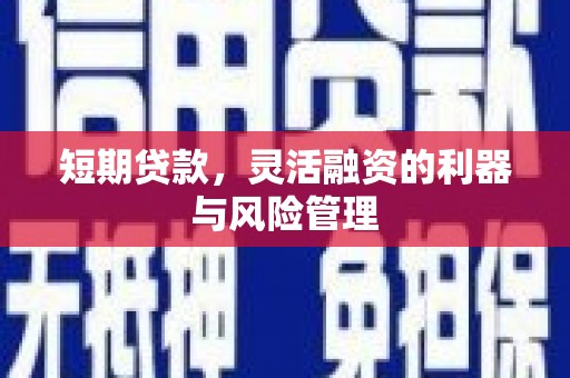 山阳短期贷款，灵活融资的利器与风险管理