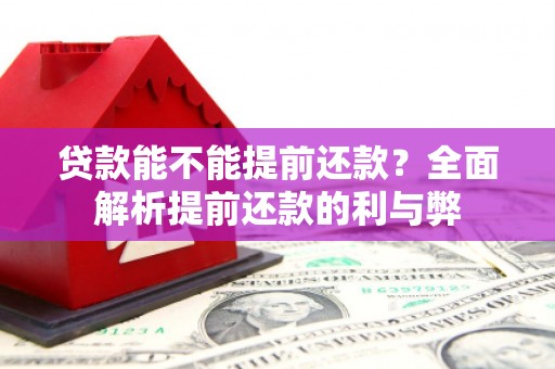 山阳贷款能不能提前还款？全面解析提前还款的利与弊