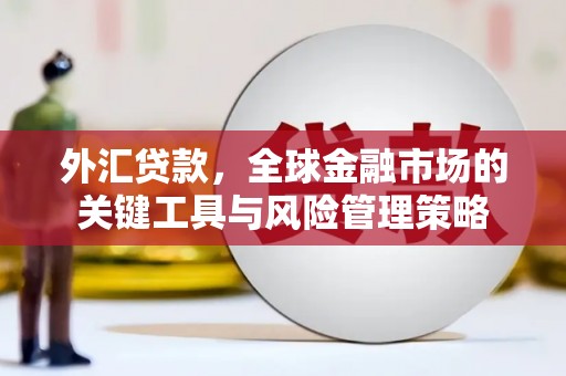 山阳外汇贷款，全球金融市场的关键工具与风险管理策略