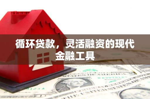 山阳循环贷款，灵活融资的现代金融工具