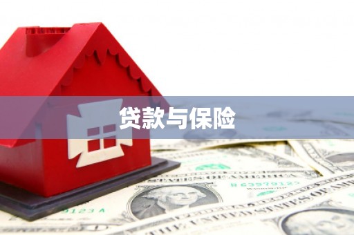 山阳贷款与保险