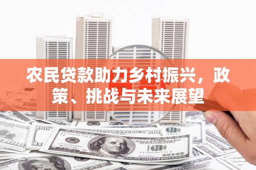 山阳农民贷款助力乡村振兴，政策、挑战与未来展望