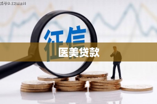 山阳医美贷款