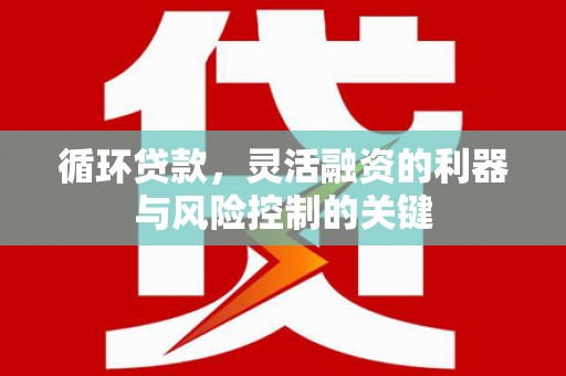 山阳循环贷款，灵活融资的利器与风险控制的关键