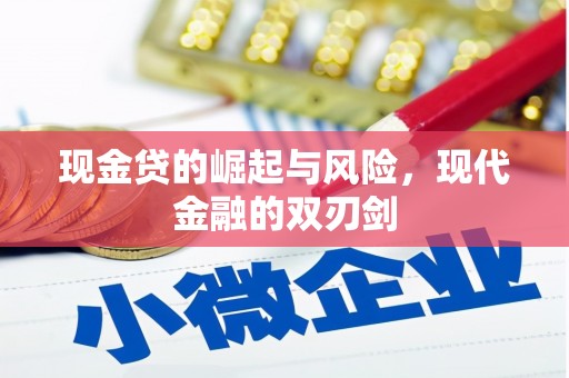 山阳现金贷的崛起与风险，现代金融的双刃剑