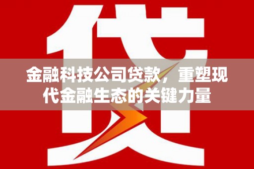 山阳金融科技公司贷款，重塑现代金融生态的关键力量