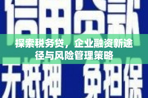 山阳探索税务贷，企业融资新途径与风险管理策略