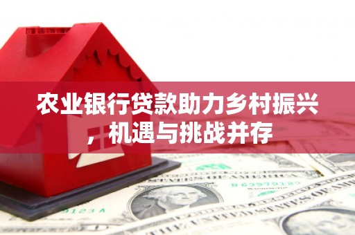 山阳农业银行贷款助力乡村振兴，机遇与挑战并存