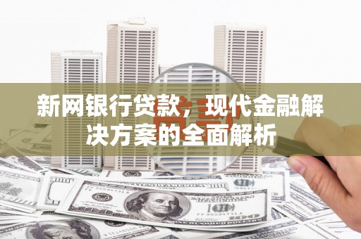山阳新网银行贷款，现代金融解决方案的全面解析