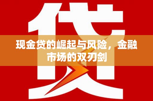 山阳现金贷的崛起与风险，金融市场的双刃剑