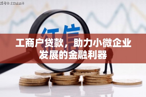 山阳工商户贷款，助力小微企业发展的金融利器