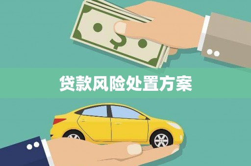 山阳贷款风险处置方案