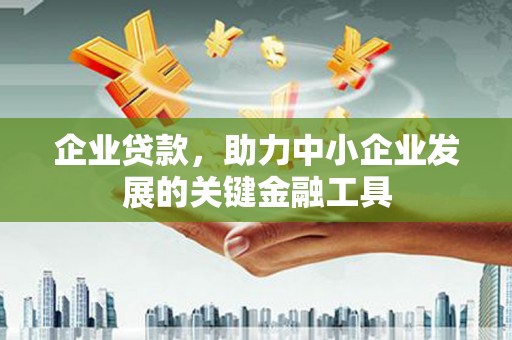 山阳企业贷款，助力中小企业发展的关键金融工具