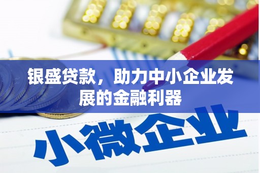 山阳银盛贷款，助力中小企业发展的金融利器