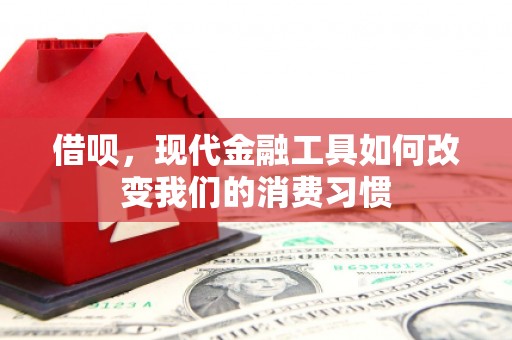 山阳借呗，现代金融工具如何改变我们的消费习惯