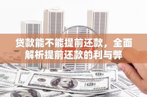 山阳贷款能不能提前还款，全面解析提前还款的利与弊