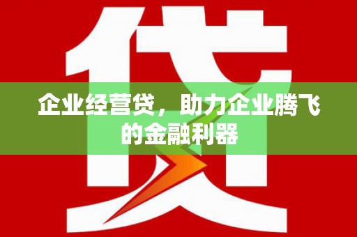 山阳企业经营贷，助力企业腾飞的金融利器
