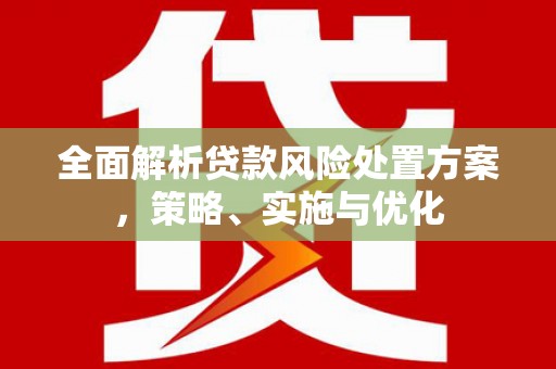 山阳全面解析贷款风险处置方案，策略、实施与优化