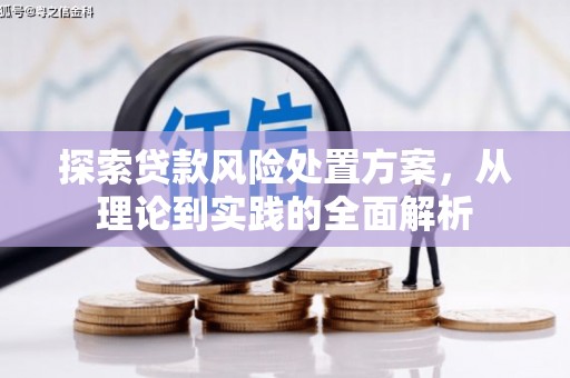 山阳探索贷款风险处置方案，从理论到实践的全面解析
