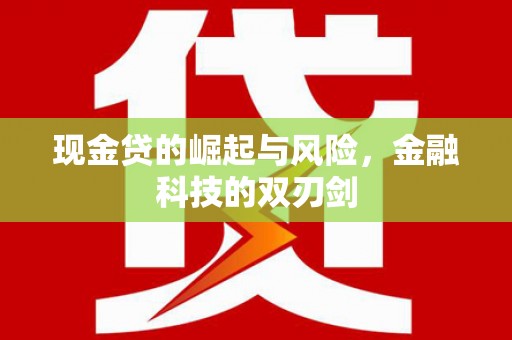 山阳现金贷的崛起与风险，金融科技的双刃剑