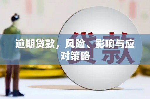 山阳逾期贷款，风险、影响与应对策略