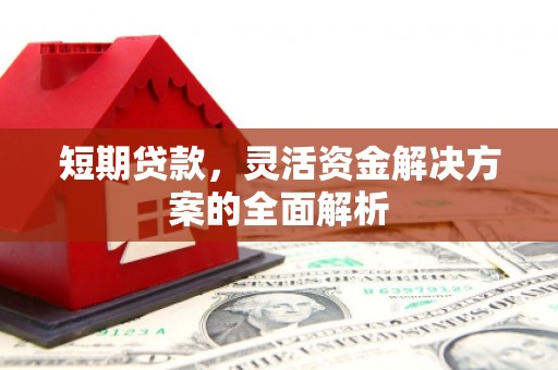 山阳短期贷款，灵活资金解决方案的全面解析