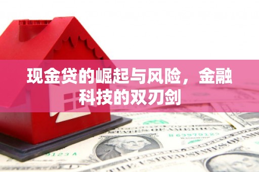 山阳现金贷的崛起与风险，金融科技的双刃剑