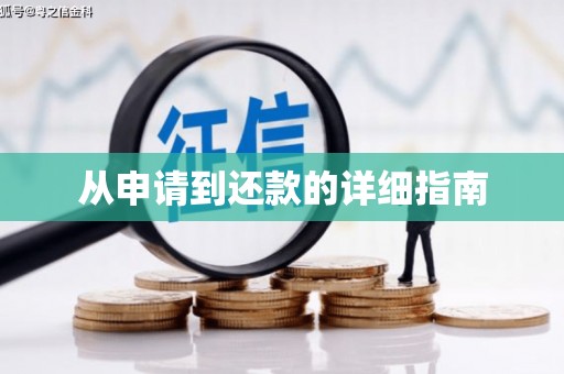 山阳从申请到还款的详细指南