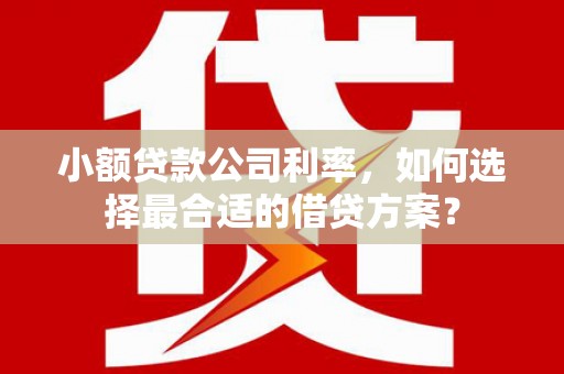 山阳小额贷款公司利率，如何选择最合适的借贷方案？