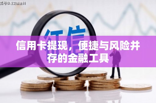 山阳信用卡提现，便捷与风险并存的金融工具