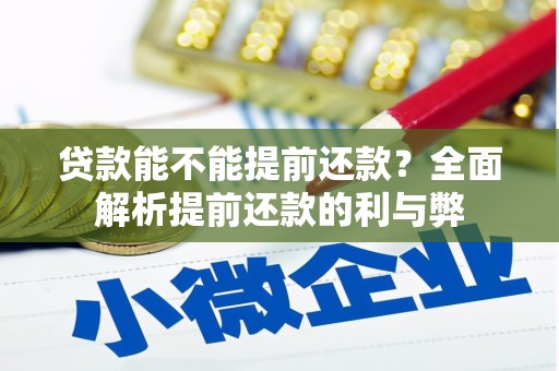 山阳贷款能不能提前还款？全面解析提前还款的利与弊