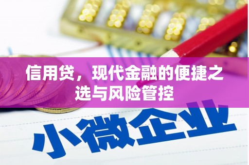 山阳信用贷，现代金融的便捷之选与风险管控