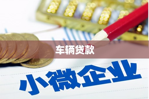 山阳车辆贷款