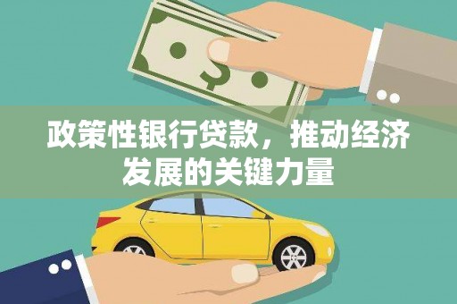 山阳政策性银行贷款，推动经济发展的关键力量