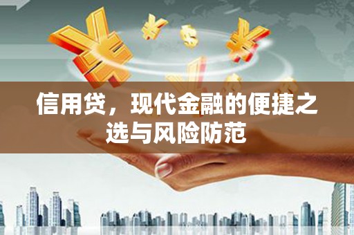 山阳信用贷，现代金融的便捷之选与风险防范