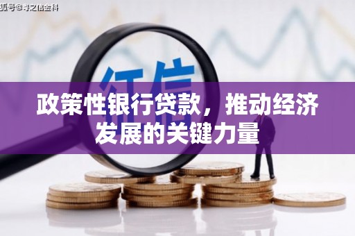 山阳政策性银行贷款，推动经济发展的关键力量