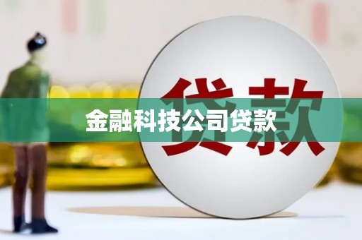 山阳金融科技公司贷款