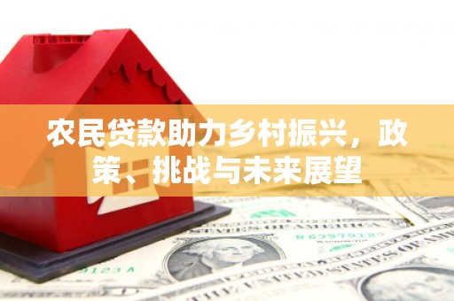山阳农民贷款助力乡村振兴，政策、挑战与未来展望