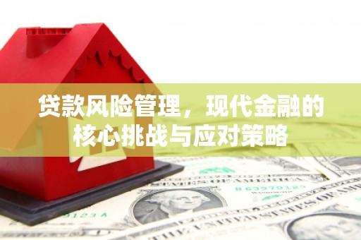 山阳贷款风险管理，现代金融的核心挑战与应对策略
