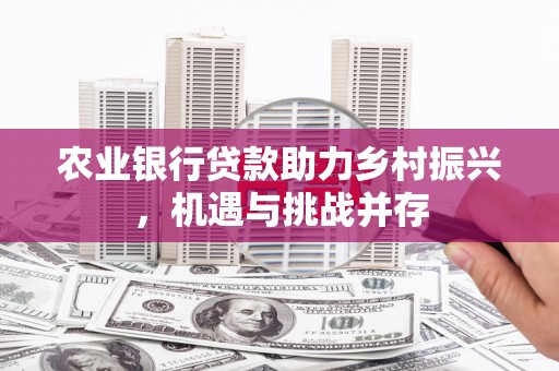 山阳农业银行贷款助力乡村振兴，机遇与挑战并存
