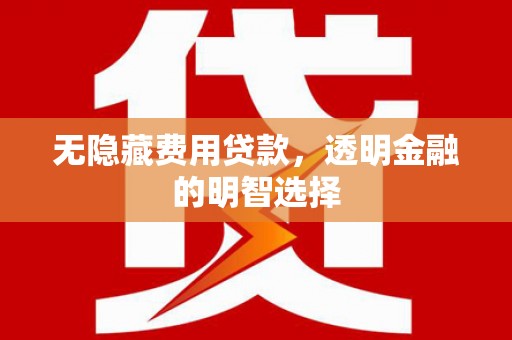 山阳无隐藏费用贷款，透明金融的明智选择