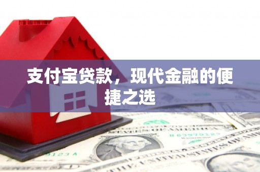山阳支付宝贷款，现代金融的便捷之选
