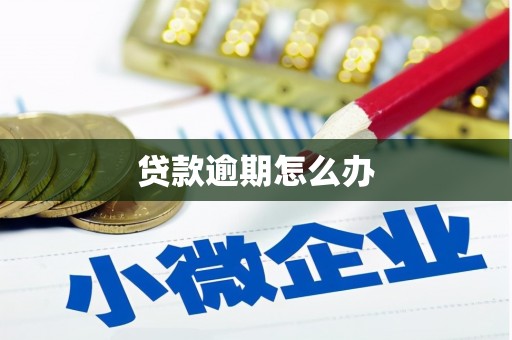 山阳贷款逾期怎么办