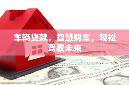 山阳车辆贷款，智慧购车，轻松驾驭未来